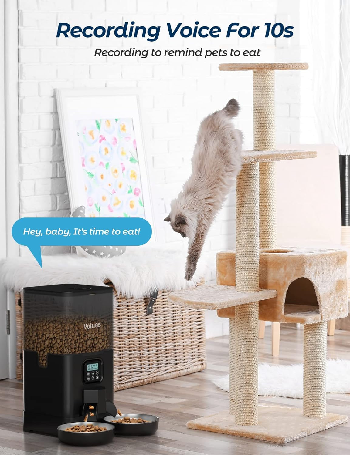 Automatic Dual Cat Feeder with 2 Stainless Steel Bowls, 6L Capacity, Timed Feeding & Memory Function