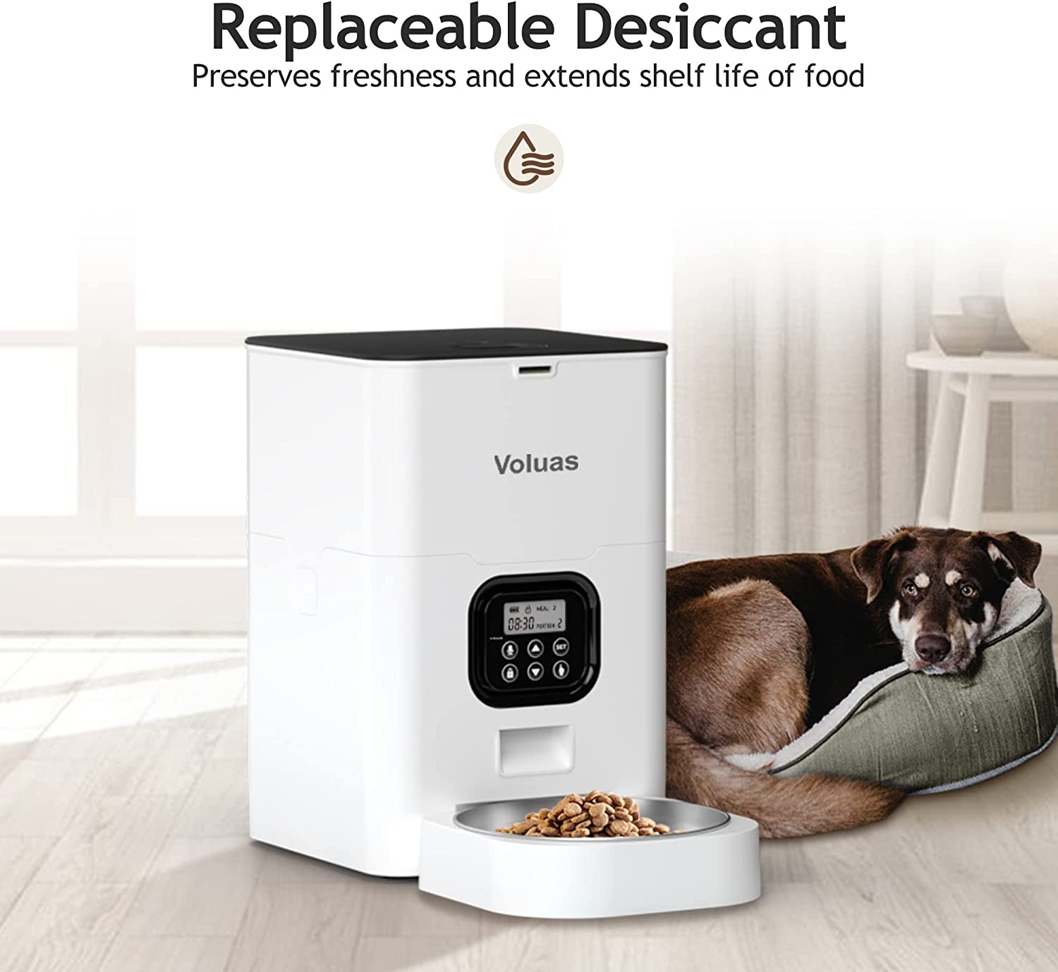 Automatic Pet Feeder with Portion Control for Cats and Dogs - Programmable Timer, Dry Food Dispenser, Desiccant Bag, Voice Recorder